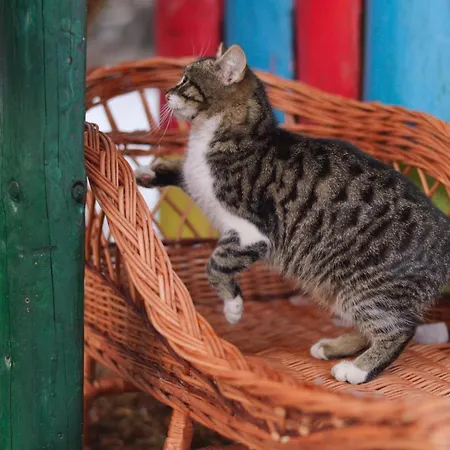 Casa vacanze Between Mountains *