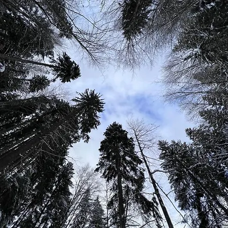 Casa vacanze Between Mountains *