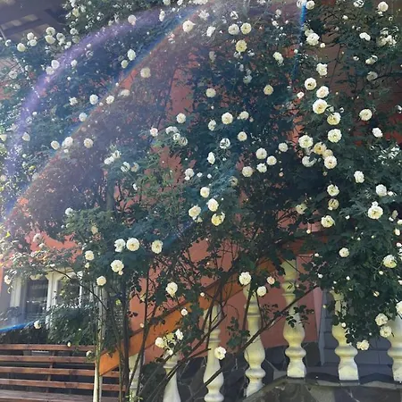 Between Mountains * Mizhhirya (Transcarpathia)