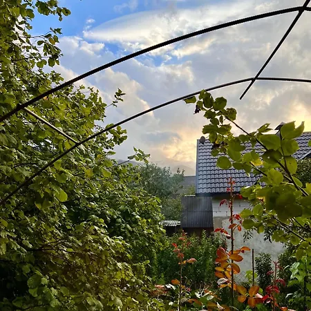 Between Mountains Casa vacanze Mizhhirya (Transcarpathia)