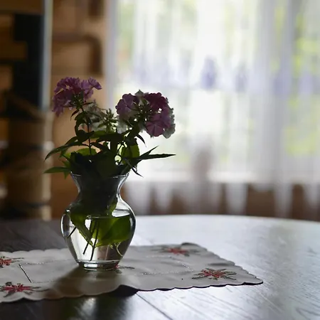 Between Mountains Holiday home Mizhhirya (Transcarpathia)